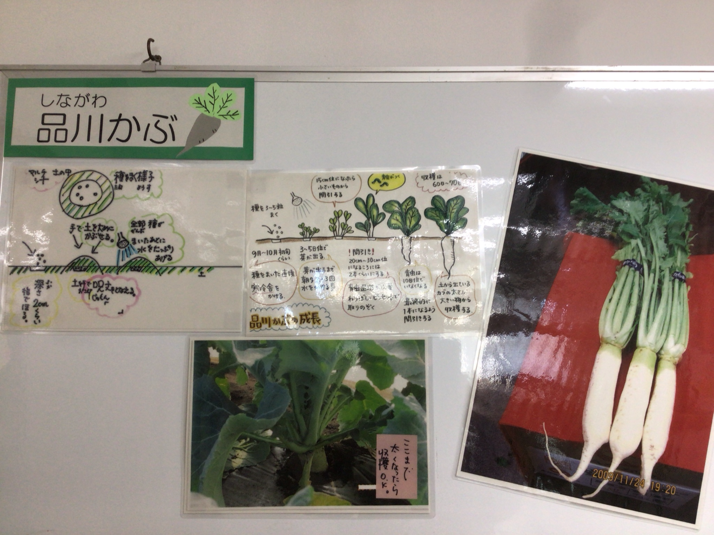 ICT_学校ホームページ_非常勤講師10（伊藤小学校）_2026年1月21日のノート_5