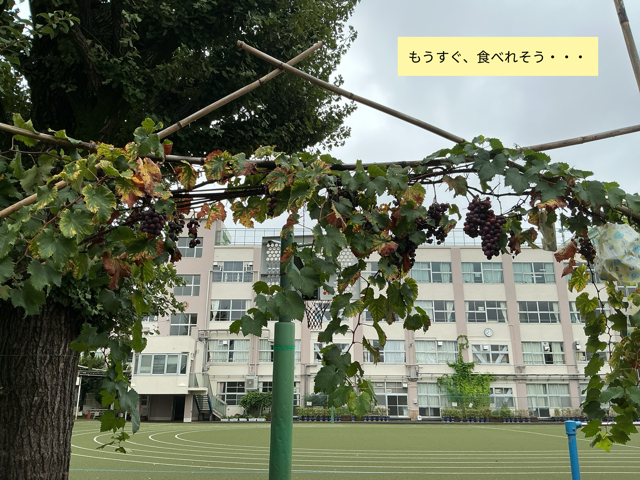 IMG_0092（中）