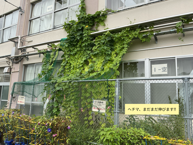 IMG_0093（中）